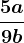 \frac5a9b