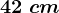 42\ cm