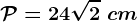 \mathcalP=24\sqrt2\ cm