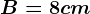 B= 8 cm