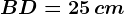 BD=25\, cm