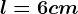 l = 6 cm