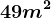 49 m^2