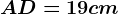 AD=19cm