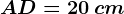 \fncm AD=20\: cm