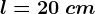 l=20\: cm
