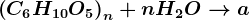 \left ( C6 H10O5\right )n + nH2O--> a