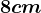 8cm