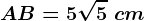 AB=5\sqrt5\ cm