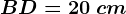 BD=20\ cm