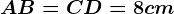 AB=CD=8cm