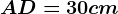 AD= 30 cm