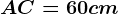 AC=60 cm
