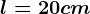 l=20 cm