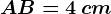 AB=4\, cm