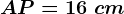 AP=16\ cm