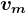 vm
