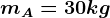 mA = 30kg