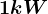 1 kW