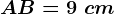 AB=9\ cm