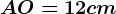 AO=12cm