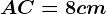 AC = 8 cm