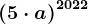 \left ( 5\cdot a \right )^2022