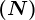 \left ( N \right )