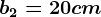 b2=20 cm