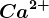 Ca^2+