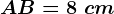 AB=8\ cm