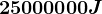 25000000J