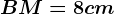 BM=8cm