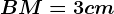 BM = 3 cm