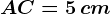 AC= 5\, cm