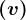\left ( v \right )