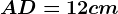 AD = 12 cm