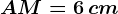 AM=6\, cm