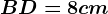 BD = 8 cm