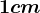 1 cm