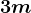 3m