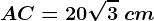 AC=20\sqrt3\ cm