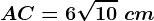 AC=6\sqrt10\ cm