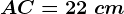 AC=22\ cm