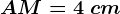 AM=4\ cm
