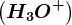 \left ( H3O^+ \right )