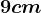 9 cm