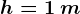 h=1\: m
