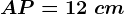 AP=12\ cm