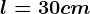 l=30 cm